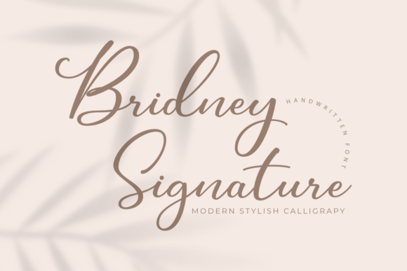 Bridney Signature Font for Romantic, Polished Branding