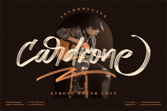 Cardrone: A Bold, Elegant Script Handwritten Font