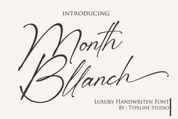 Month Bllach: A Script Handwritten Font for Elegant Digital Branding