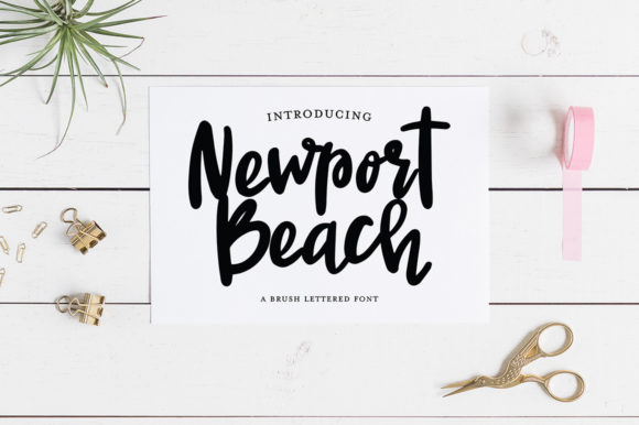 Newport Beach Script Font for Modern Web Design