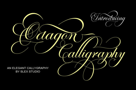 Octagon Calligraphy: A Script Handwritten Font for Elegant Handmade Products