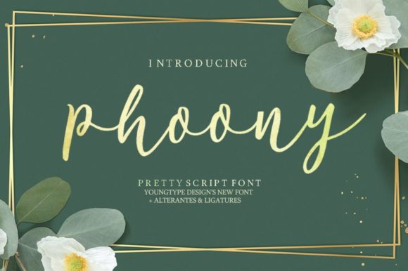 Phoony: A Bold Script Handwritten Font for Makers